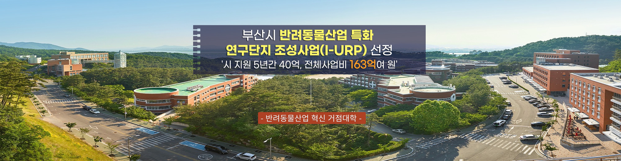 부산시 반려동물산업 특화 연구단지 조성사업(I-URP) 선정 '시 지원 5년간 40억, 전체사업비 163억여 원' -반려동물산업 혁신 거점대학-